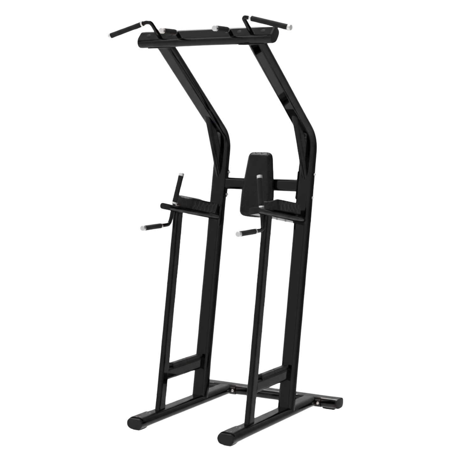 BUILD Chin Dip Leg Raise VKR Station (New)