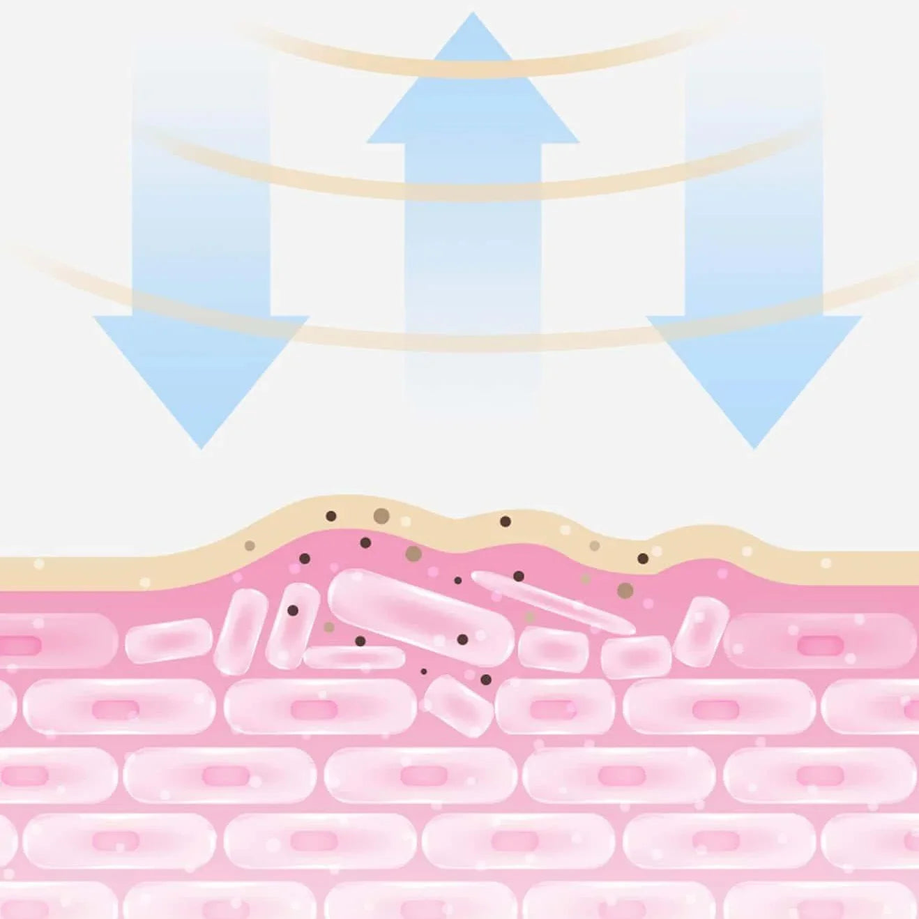 Tara Sonic Facial Cleansing Brush