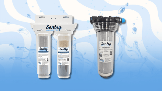 WELLNESS HOME BUNDLE