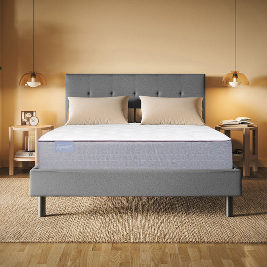 Club Signature II Plush