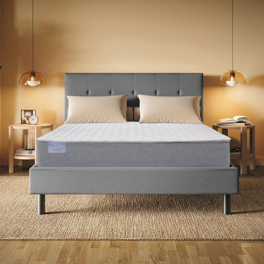 Club Signature III Extra Firm