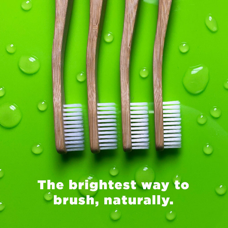 CHOMP Bamboo Flossing Toothbrush 1-Pack