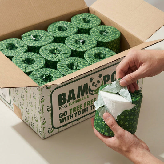 Organic 3-Ply Bamboo Toilet Paper