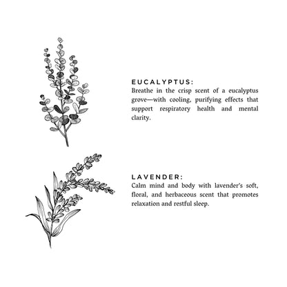 Eucalyptus + Lavender - Signature 3-Wick Candle
