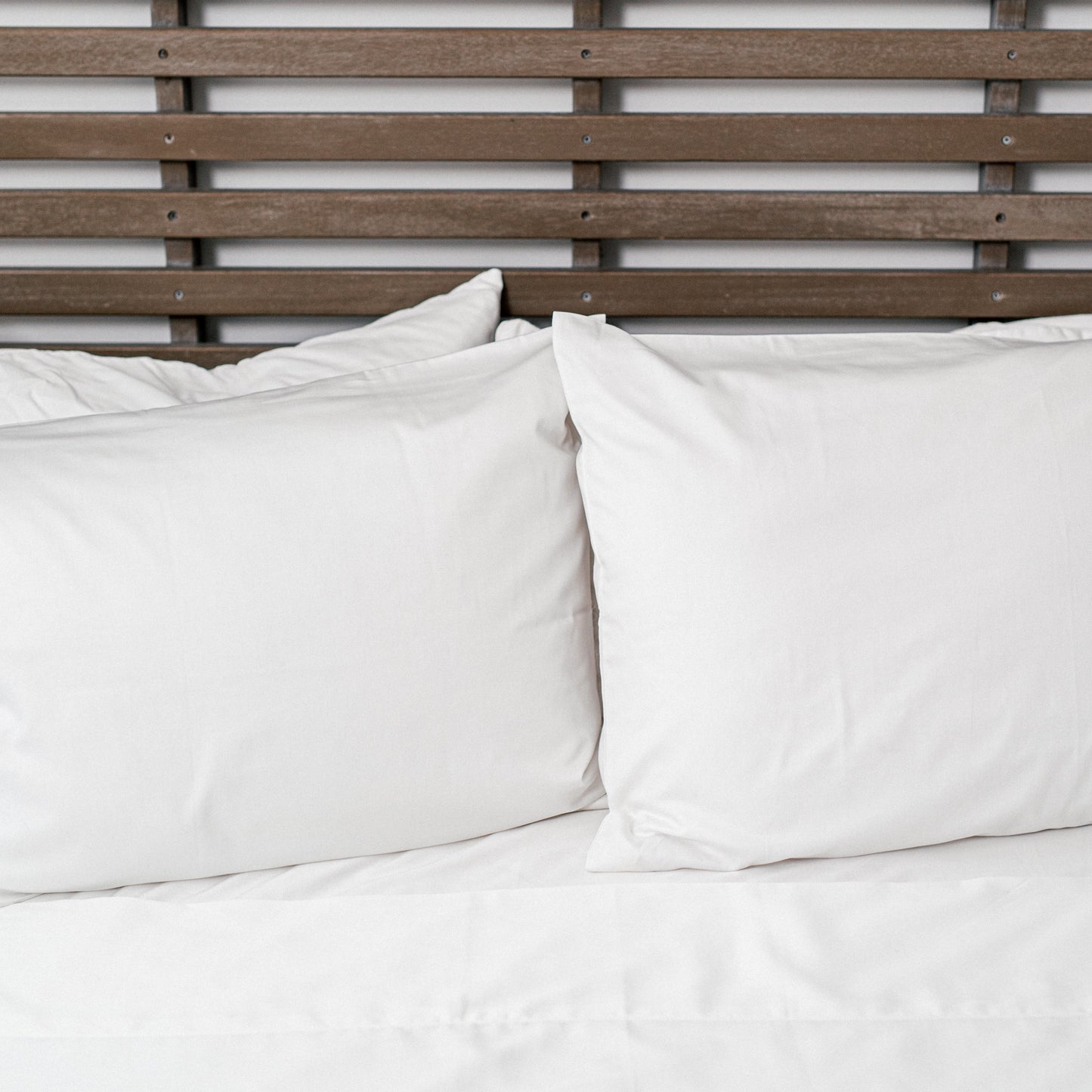 Organic Savannah™ Pillow Case