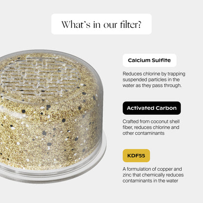 Handheld Filtered Showerhead