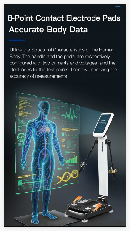 BodyScan 330