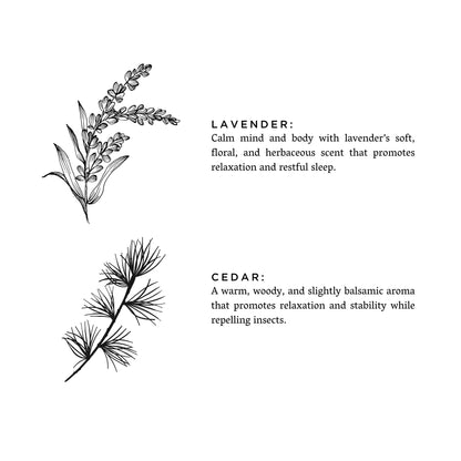 Lavender + Cedar - Signature 3-Wick Candle