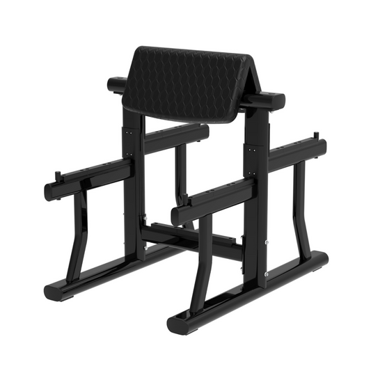 BUILD Preacher Curl Bench (New)