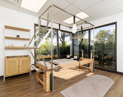 Napolie Clinical Plus- Cadillac and Pilates Reformer