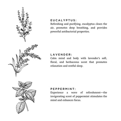 Of The Sea (Eucalyptus + Lavender + Peppermint) - Signature 3-Wick Candle