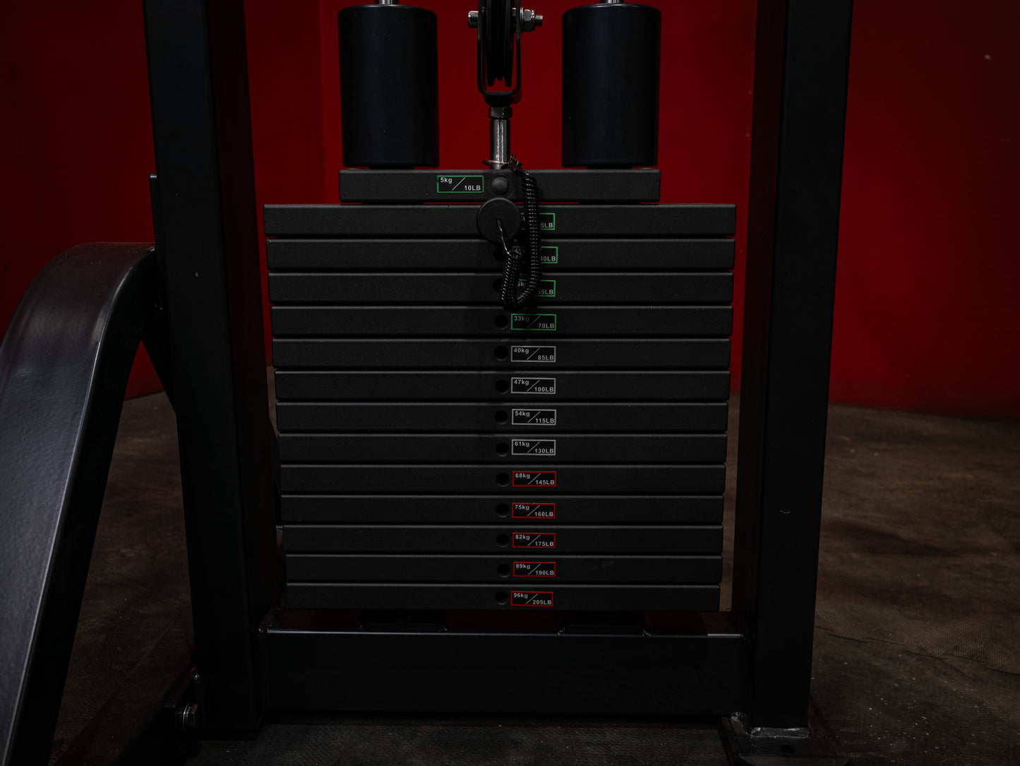 BUILD Standing Lateral Raise (New)