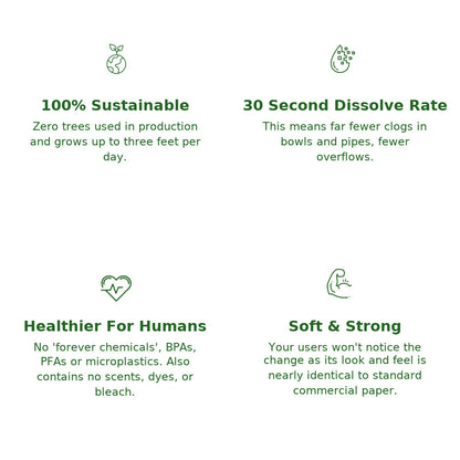 Bamboo Toilet Paper – 80 Rolls, 2-Ply, 550 Sheets, Bulk Supply for Business, Commercial & Schools