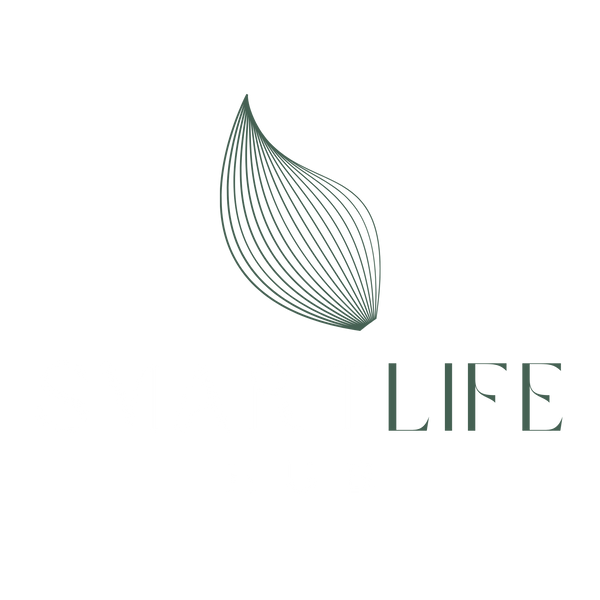 SMART LIFE HUB