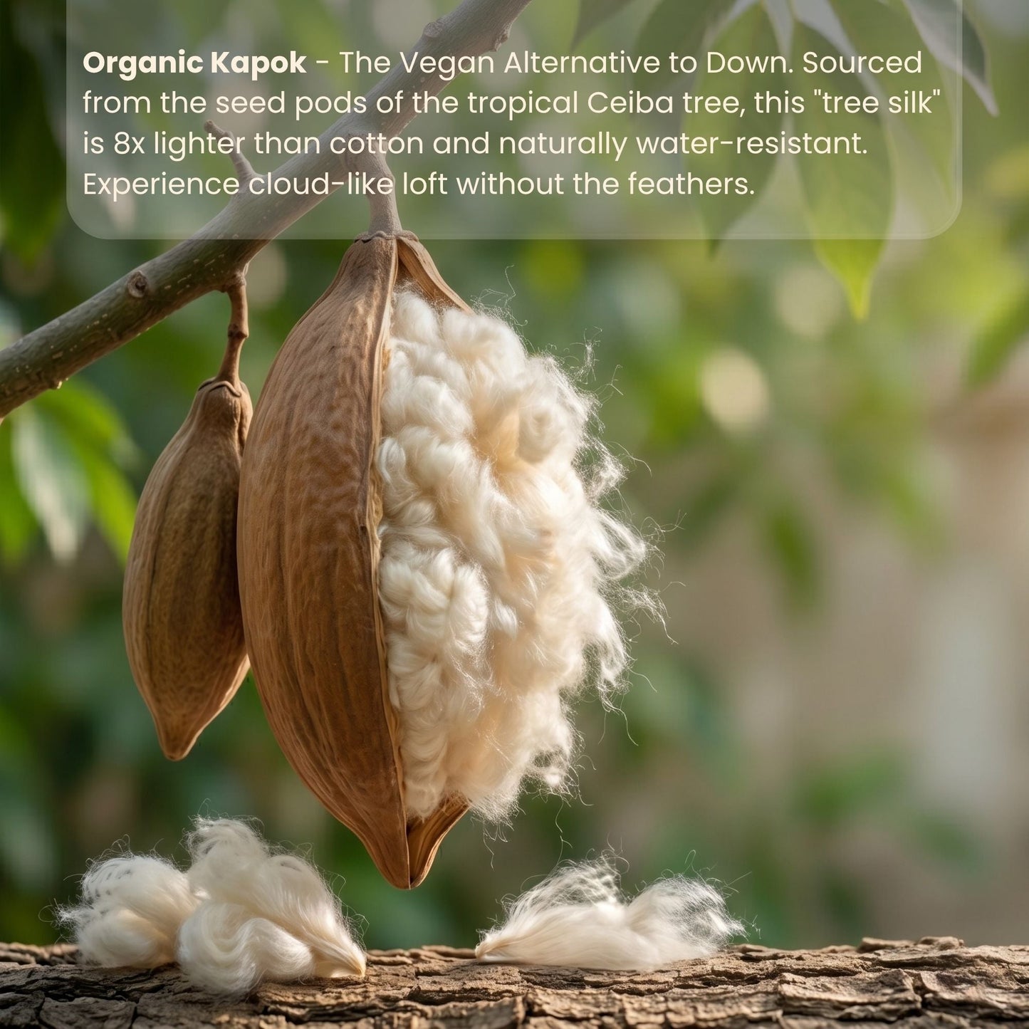 The Organic Snooze Kloud Pillow