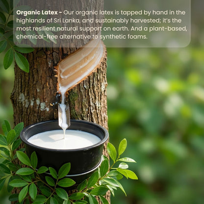 The Organic Snooze Kloud Pillow