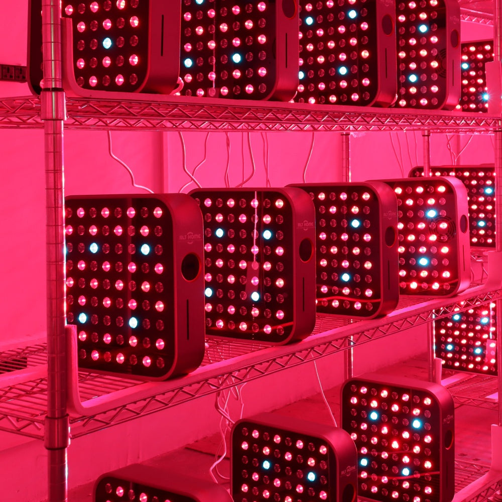 Total Spectrum MINI (7 Wave 72 LEDs)