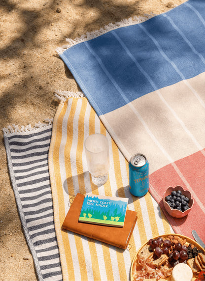 Spritz Reversible Lightweight Beach Blanket