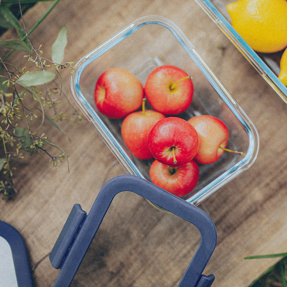 Glace Rectangular Food Storage