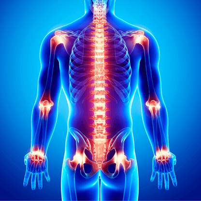 REVA Multifunctional Infrared Heat, PEMF  Belt for Enhanced Wellness and Relaxation